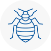 Bed Bug Extermination In Cricklade