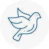 Bird Prevention Cricklade