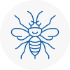 Cricklade Hornet Nest Removals