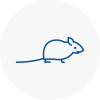 Mice Exterminators In Cricklade