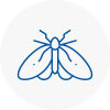 Moth Control Specialists In Cricklade