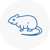 Rat Control Cricklade