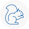 Cricklade Rodent Removals