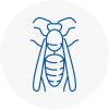 Cricklade Wasp Nest Removal